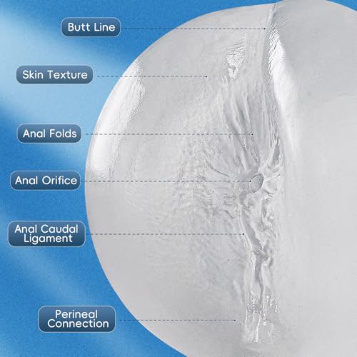 Image of Anal Male Masturbator Realistic Pocket Pussy Vagina Butt Textured with 7.5in Depth Soft and Tighten Anus Fleshy Texture, Penis Training Masturbators Sex Machine Ass Toy for Men (Transparent)