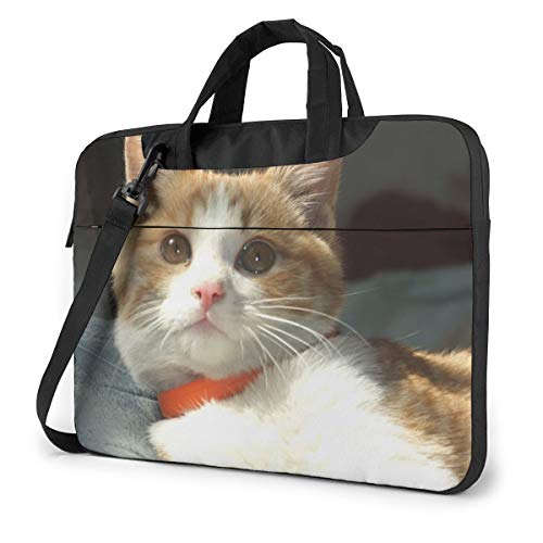 킢 L ʐ^ PCP[X m[gp\RobO bvgbv یP[X PCobO Ռz y rWlXobO nhobO u[tP[X 񂰃obO t ΂ߊ|obO 13/14/15.6C`