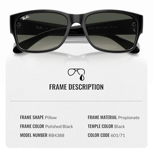 Ray-Ban RB4388 Square-Round Shaped Sunglasses for Men & Women with Official RAYBAN Eyewear Kit3