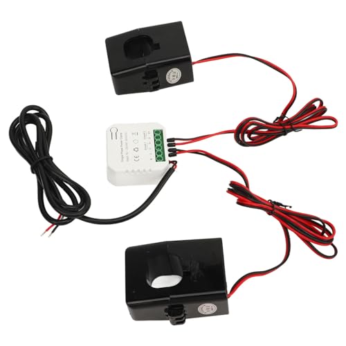 Fafeicy Contatore di Energia Intelligente, Monitoraggio Bidirezionale del Consumo di Energia, Monitoraggio in Tempo Reale, Registrazione Dati, Sensori di Corrente 2x300A, per Versione,