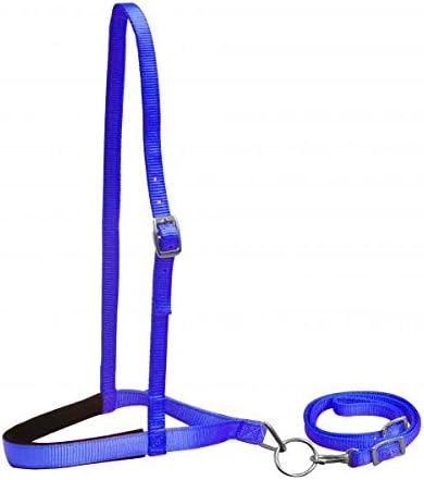 Showman BLUE Premium Nylon Padded Noseband And Tie Down