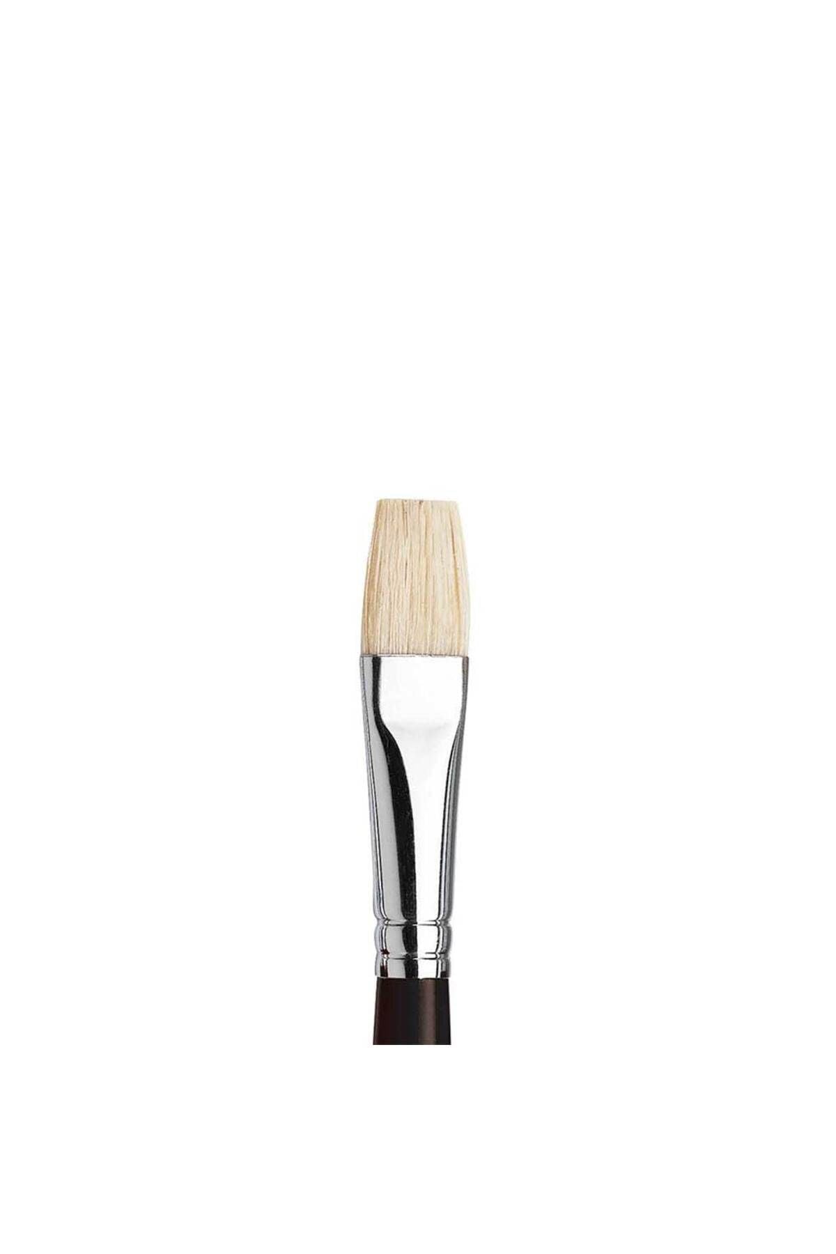 Winsor and Newton 5634008 Azanta Short Handle Short Flat/Bright Brush, 8 Size, Black, Pack of 6 โ image 1