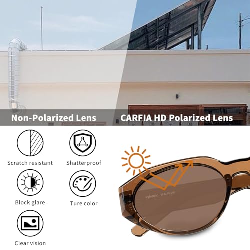 Vylenxio Retro Oval Cat Eye Polarized Sunglasses for Women, UV400 90s Y2K Vintage Shades, VY2514 — view 4