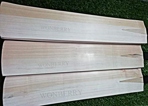 Image of Wonberry Semi Knocked Low Mid Profile Power Bottom English Willow Cricket Bat SH