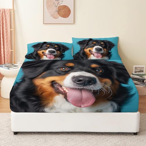 Sábana Ajustable Ligera de Microfibra súper Suave, Juego de sábanas de 3 Piezas con Bolsillos Profundos, Retrato del Perro De Montaña De Berna Impreso 150 x 200 cm Azul