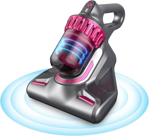 HOLAYO Mattress Vacuum 10Kpa