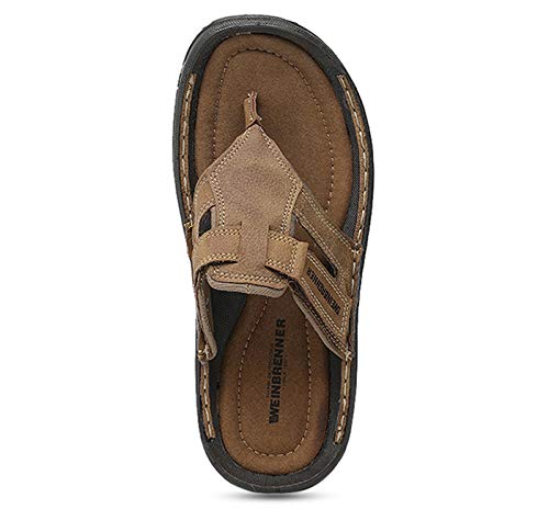 Image of WEINBRENNER mens Lagos Thong Slippers