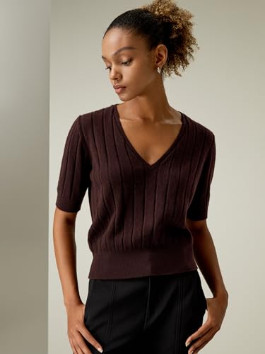 LilySilk 100% Cashmere Sweater for Women V Neck Short Sleeves Lightweight Pullover Casual Knit T Shirt4