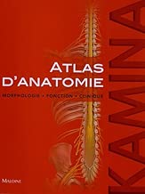 Download Atlas d'anatomie : Morphologie, fonction, clinique PDF