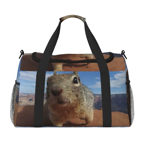 Bolsa de viaje impermeable y plegable para mantener tus pertenencias secas en la playa