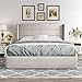 Allewie Queen Size Lift Up Storage Bed, Modern Wingback Headboard, Hydraulic Support, No Box Spring Needed, Light Beige