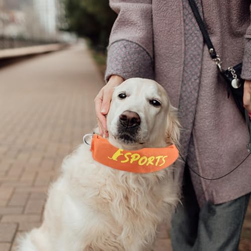 Hundehalsband, Hundehalsband und Leine, Set- Leine und Halsband 2- in- 1- Verstellbares Auspuffgeschirr für die Kontrolle von Bellen, Wandern im Betrieb Imp-3