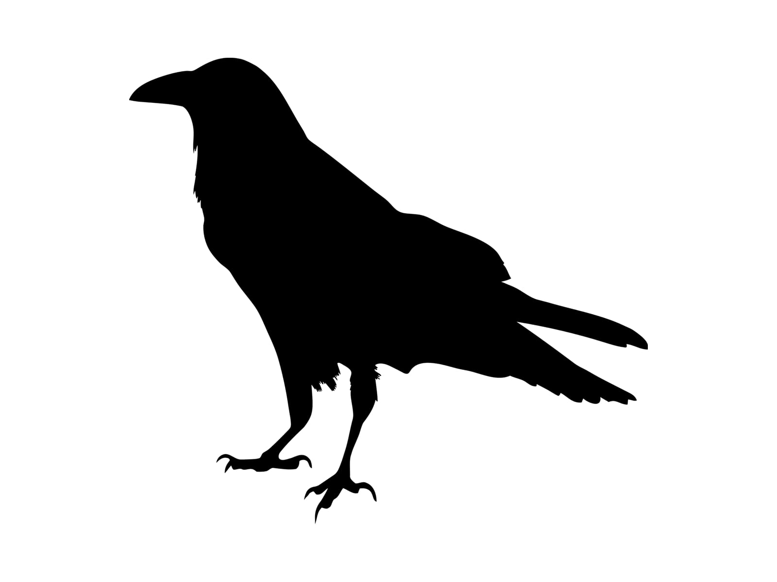 Crow Silhouette Bird Vinyl Decal Car Water Bottle Sticker