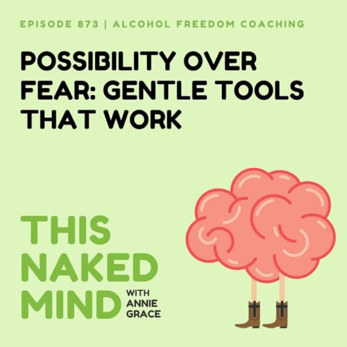 Possibility Over Fear: Gentle Tools That Work | Alcohol Freedom Coaching | E873
