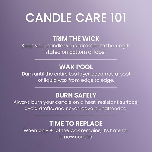 Yankee Candle Vela aromática en tarro grande | Dried Lavender & Oak | Duración de combustión de hasta 150 horas | Regalos perfectos para mujeres