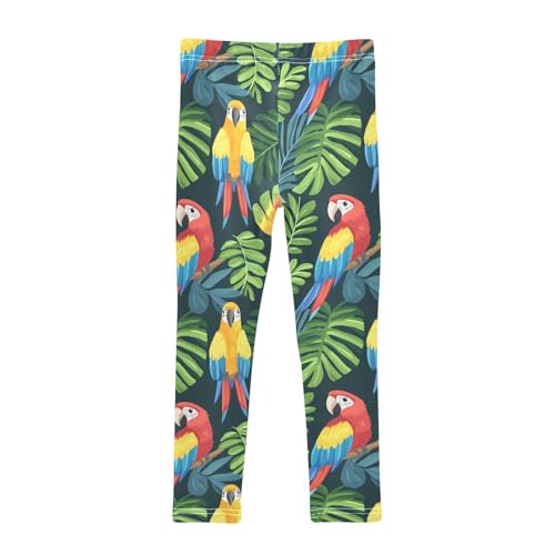 Cute Parrots Girls Leggings,Workout Leggings for Girls Toddler Athletic Legging Size for 3-10T2