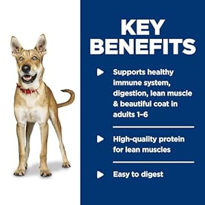   Hills-Science-Diet-Adult-1-6-Adult-1-6-Premium-Nutrition-Wet-Dog-Food-Chicken-Beef-Loaf-13-oz-Can-Case-of-12