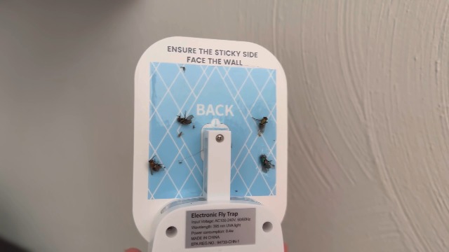 VEYOFLY Fly Trap Indoor, Fruit Fly Traps for Indoors, (1 Device + 3 Refills) Gnat Traps for House Indoor, Fly Catcher Indoor, Plug in Light Flying Insect trap, Bug Light Killer, Fly Trap