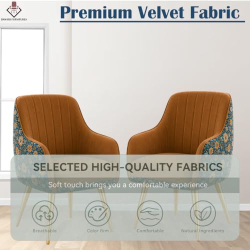 Image of Set of 2 Accent Chair for Living Room | Modern Armchair in Soft Velvet Fabric with Sturdy Legs | Premium Chair for Home Living Room Bedroom Restaurent | (Gold Legs, Light Brown Floral)