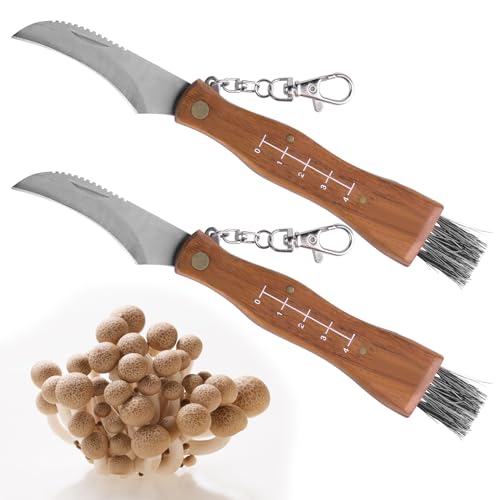 Nizirioo Pilzmesser mit Bürste, 2 Stücke Schwammerlmesser mit Lineal Taschenmesser Klappmesser, Edelstahl Pilzmesser Tragbar Pilzsammler mit Schlüsselring für Trüffel, Pilze, Steinpilze