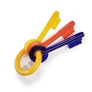 Nylabone Gentle puppy hond kinderziektes kauwspeelgoed sleutels, spek smaak, klein, voor puppy’s tot 11 kg