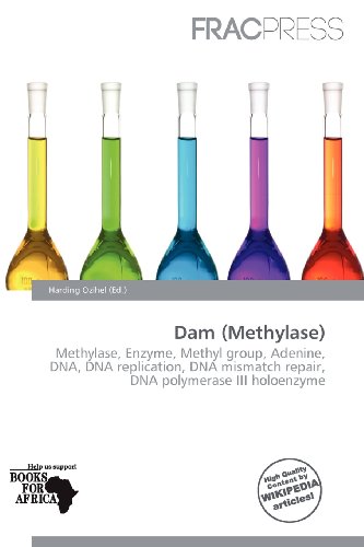 Dam (Methylase): Methylase, Enzyme, Methyl group, Adenine, DNA, DNA replication, DNA mismatch repair, DNA polymerase III holoenzyme