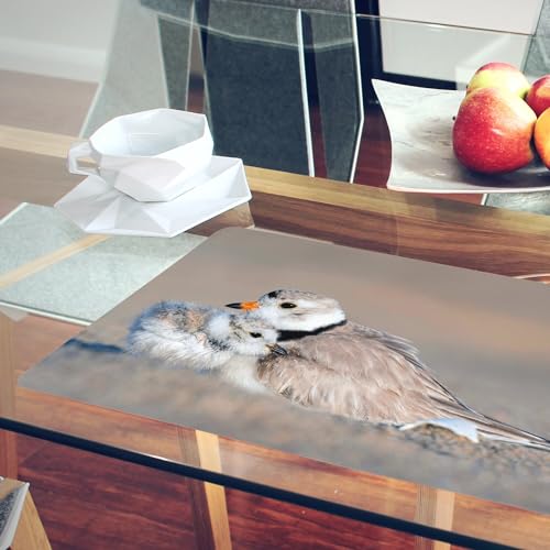 Sets de table souples oisillon grand format anti-rayure en liège - 6