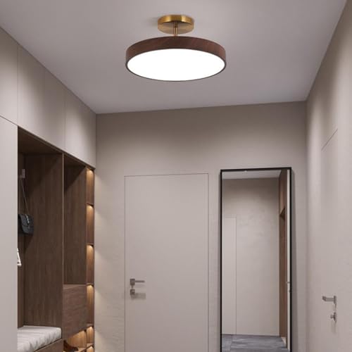 Éclairage de plafond LED moderne dimmable avec télécommande couleur noix pour salon