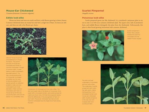 Edible Wild Plants: Wild Foods From Dirt To Plate (The Wild Food Adventure Series, Book 1) - Thumbnail 4