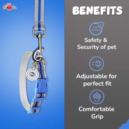 Image of Pawsindia Leash and Collar with Name Tag for Dogs, Reflective Blue 0.75 Inche Width Adjustable Collar and 4 Feet Heavy Duty Leash with Customize Nametag