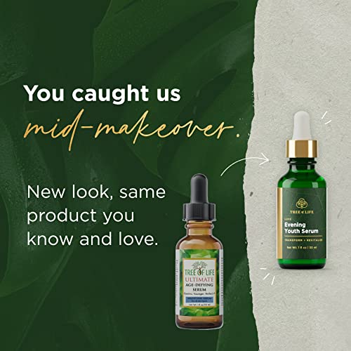Tree Of Life Age Defying Luxe Facial Skincare Regimen | Includes Morning Revival Serum (1 Oz), Evening Youth Serum (1 Oz), Polypeptide Cream (1 Oz) And Eyebright Eye Gel (0.5 Oz) #TOP1