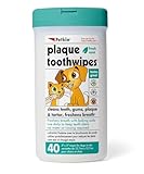 Petkin Plaque Toothwipes Fresh Mint 2 Packs of 40 wipes - Cleans teeth, gums, plaque & tartar, freshens breath. Tooth wipe for cat or dog. (2-Pack)