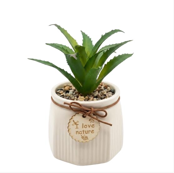Image of Artificial Aloe Vera Plant with Ceramic Pot | Fake Succulent with Decorative Pebbles & Wooden Tag | Indoor Table Decor | Home Office Desk Plant | 16 cm