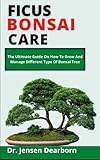  Ficus Bonsai Care: The Ultimate Care Guide On How To Grow And Manage Different Species Of Bonsai Tree