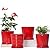 Ton Sin Plant Pots,6 Inch Flower Pots Succulent Pots with Drainage Holes,Indoor Cylinder Ceramic Planters with Saucer,Cactus Planters with Hole,Outdoor Garden Pots