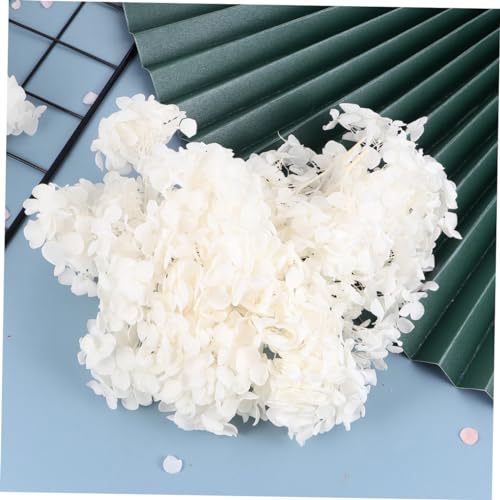 DECHOUS pétalos secos naturales de hortensia 20g miniatura 7