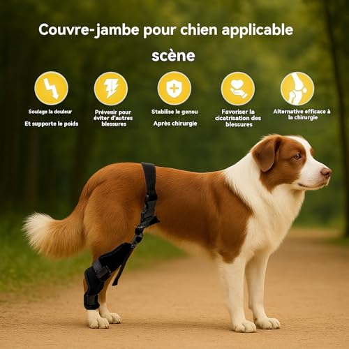 Manchon de jambe arrière pour chien protection articulation blessure - 6