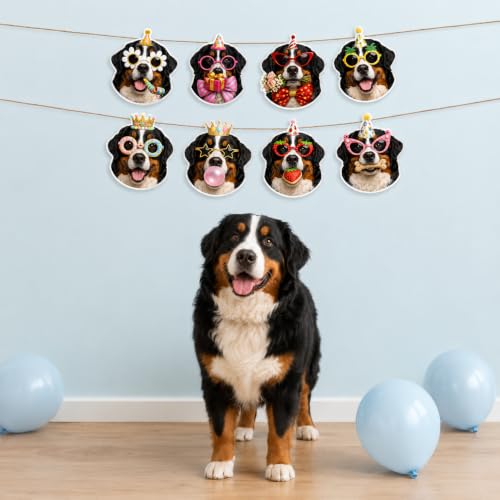 Image of Bernese Mountain Dog Birthday Banner, Berne Dog Party Decorations Garland | 8 Unique Berner Faces, Easy to Hang