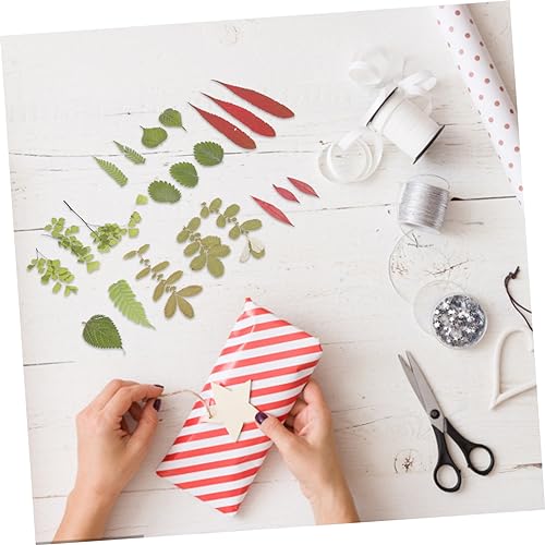 COHEALI 3 Peças 1 Material De Gravação De Flores Secas Naturales Enfeites De Scrapbook Flores Secas