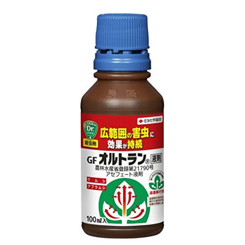 GFIgt 100ml