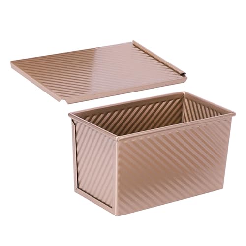 v}ppWneʒ`petHƐp{bNX