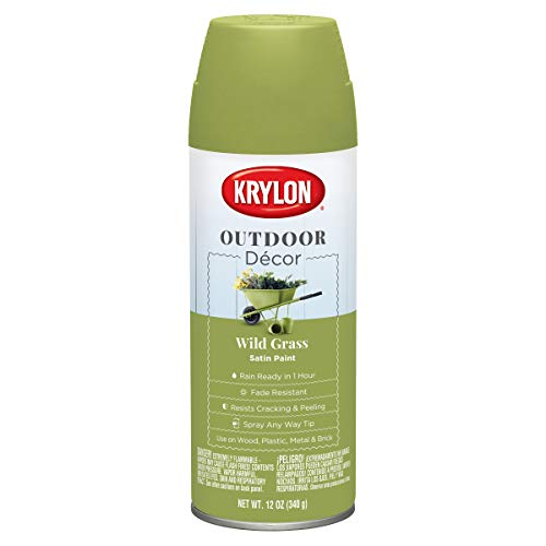 Krylon K09334000 Outdoor Décor Spray Paint, Wild Grass