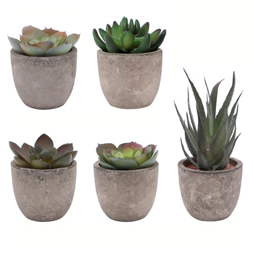 wiwauouo Set of 5 Artificial Succulent Plants in Pots - Lifelike Fake Succulents for Desk Decor, Low-Maintenance Home & Office Decor Gift