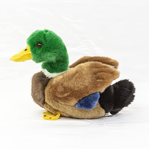 Teddys Rothenburg Plüschtier Ente 20 cm grün/schwarz/braun/blau Plüschente Kuscheltier