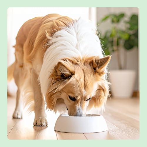 by Amazon Premium Trockenfutter für Hunde Adult Sensitive Lamb, 3 kg, 1er Pack (1 x 1 Stück)-7