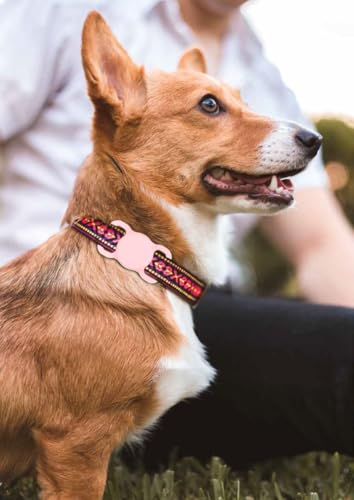 image for KOKU Pets KOKU | Airtag Holder (3-Pack) | Apple Airtag Holder | Airtag