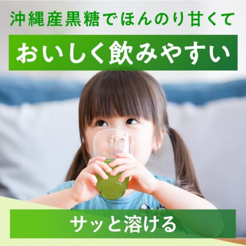 金の青汁 25種の純国産野菜 乳酸菌×酵素 65パック