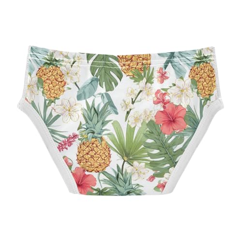 Wusikd Tropical Floral Boys' Underwear Cotton Pineapple Boys Briefs Soft Toddler Underwear 2T2