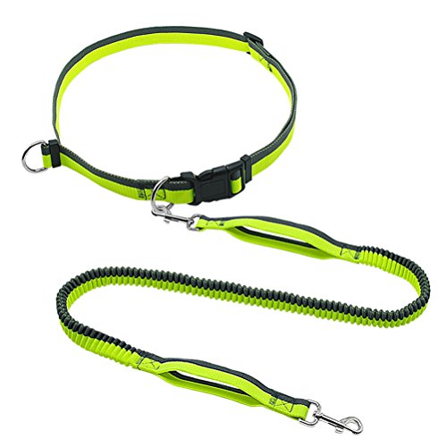 Hands Free Dog Leash Free Control Waist Dogs Bungee Retractable Leashes Small to Large Pet Leads for Running Jogging Walking Green M