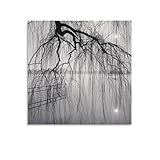 Michael Kenna-Lake Tree, Beihai Park, Beijing, China-Square Black And White Landscape Painting Canvas Art Poster And Wall Art Picture Print Modern Fam